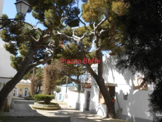 Dimora Di Donna Rita Hotel Anacapri  Exterior foto